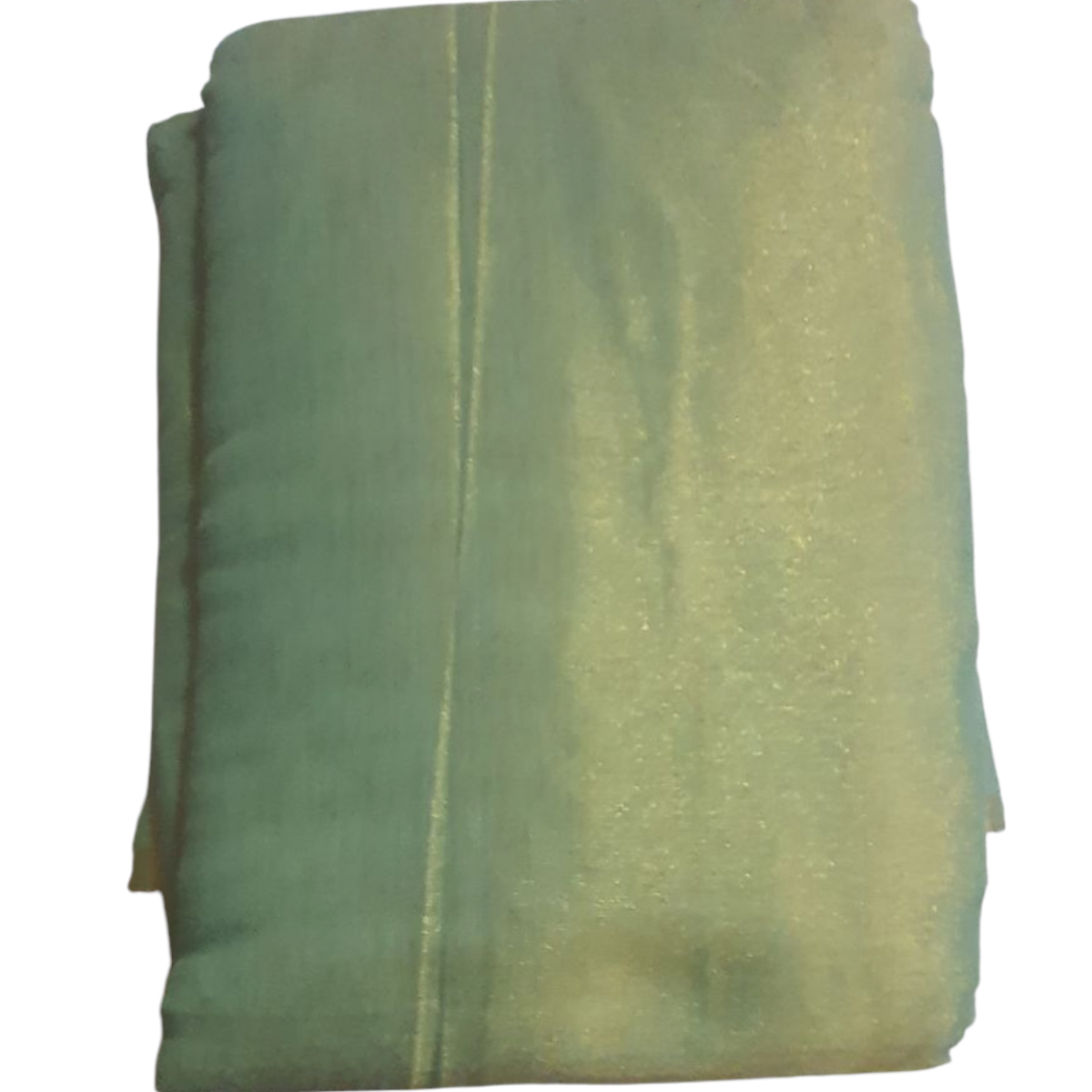 Green Golden with Tassel Glass Tissue Saree