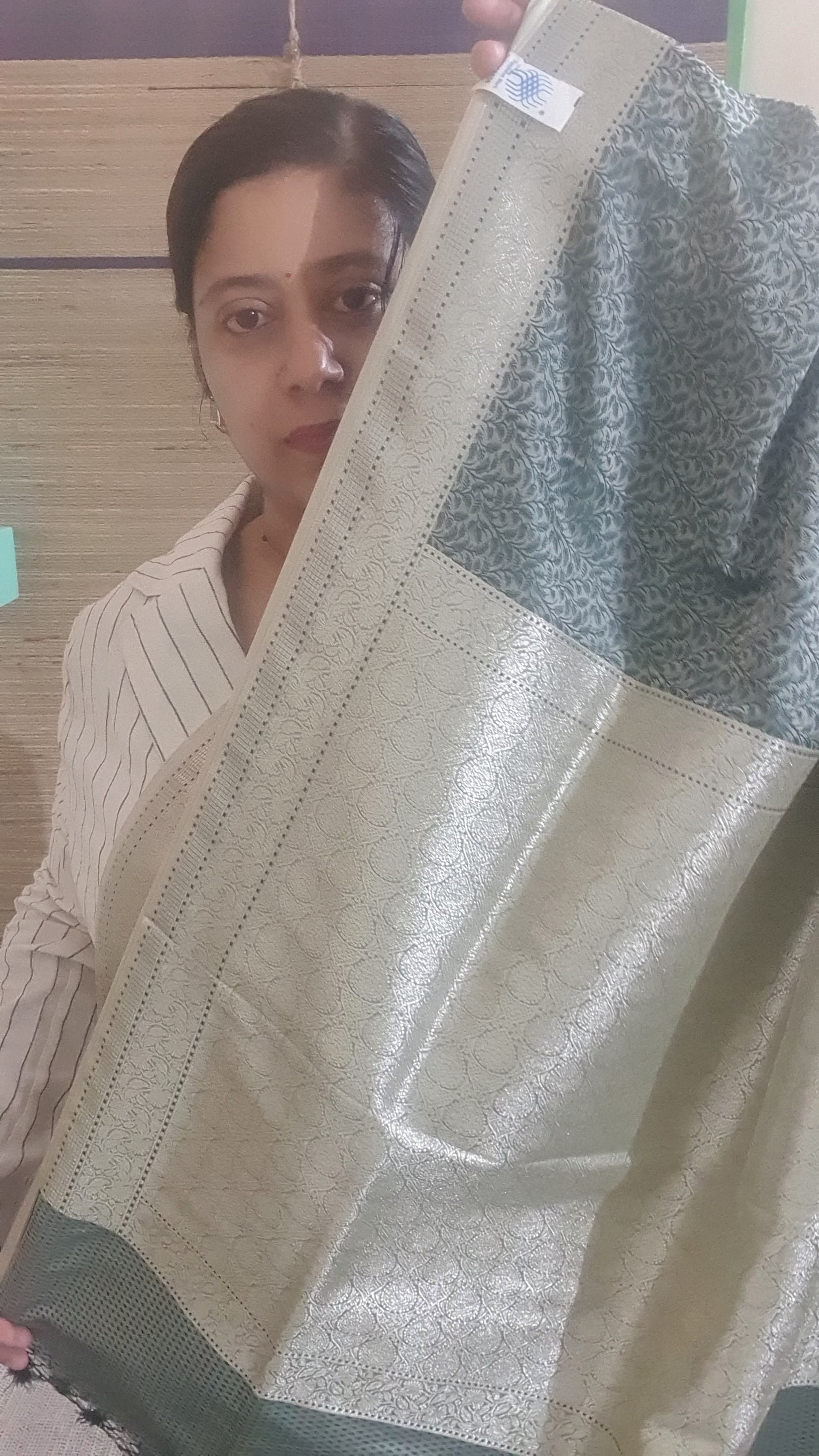 Pure handloom val kalam banarasi saree