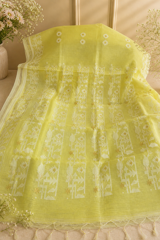  Light Lemon Pure Muslin Saree