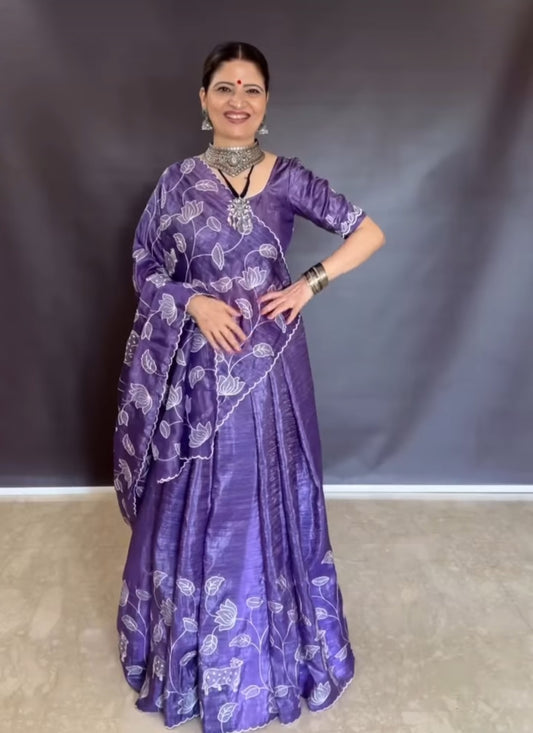 Heena Gehani Pichwai Saree