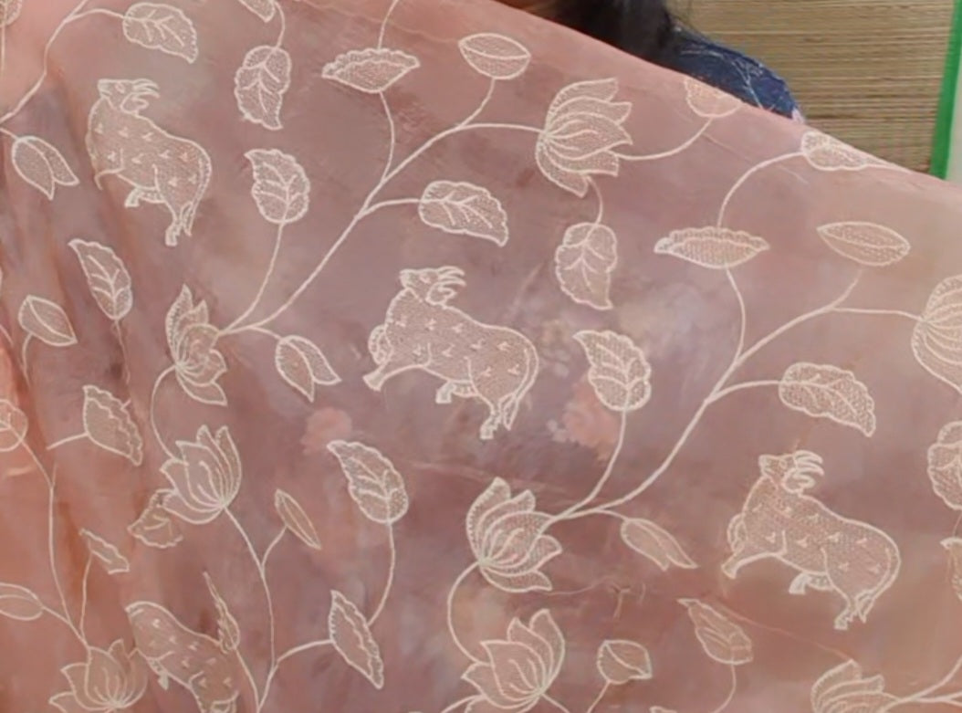 Heena Gehani Pichwai Saree